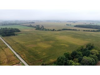 Property photo 33 - LAND AUCTION - 269.6+/-ACRES OFFERED IN 5 TRACTS IN MADISON COUNTY, INDIANA