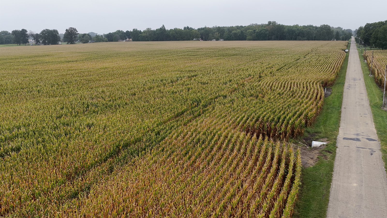 Property photo 34 - LAND AUCTION - 269.6+/-ACRES OFFERED IN 5 TRACTS IN MADISON COUNTY, INDIANA