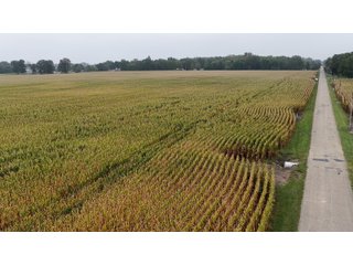 Property photo 34 - LAND AUCTION - 269.6+/-ACRES OFFERED IN 5 TRACTS IN MADISON COUNTY, INDIANA
