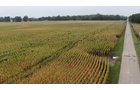 Property photo 34 - LAND AUCTION - 269.6+/-ACRES OFFERED IN 5 TRACTS IN MADISON COUNTY, INDIANA