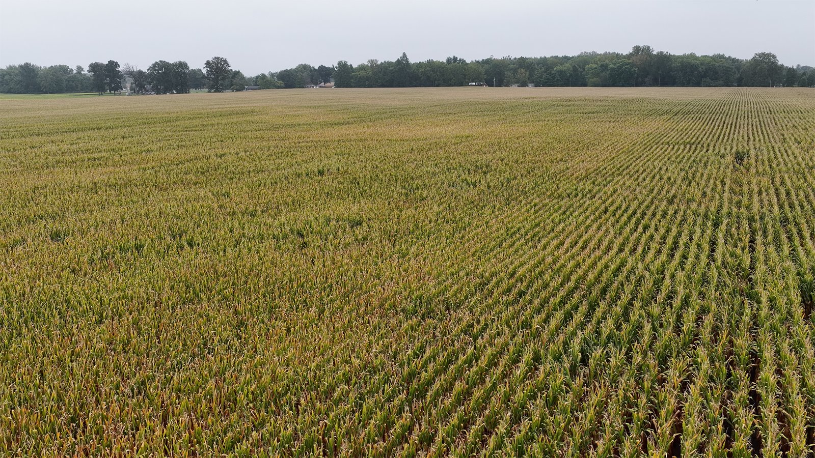 Property photo 3 - LAND AUCTION - 269.6+/-ACRES OFFERED IN 5 TRACTS IN MADISON COUNTY, INDIANA