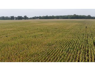Property photo 3 - LAND AUCTION - 269.6+/-ACRES OFFERED IN 5 TRACTS IN MADISON COUNTY, INDIANA