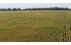 Property photo 3 - LAND AUCTION - 269.6+/-ACRES OFFERED IN 5 TRACTS IN MADISON COUNTY, INDIANA