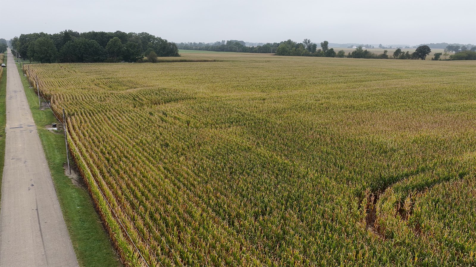 Property photo 4 - LAND AUCTION - 269.6+/-ACRES OFFERED IN 5 TRACTS IN MADISON COUNTY, INDIANA