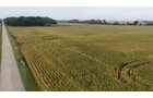 Property photo 4 - LAND AUCTION - 269.6+/-ACRES OFFERED IN 5 TRACTS IN MADISON COUNTY, INDIANA