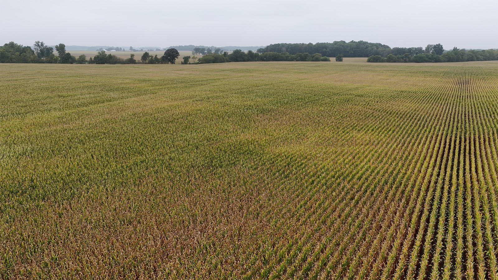 Property photo 5 - LAND AUCTION - 269.6+/-ACRES OFFERED IN 5 TRACTS IN MADISON COUNTY, INDIANA