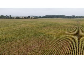 Property photo 5 - LAND AUCTION - 269.6+/-ACRES OFFERED IN 5 TRACTS IN MADISON COUNTY, INDIANA