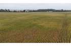Property photo 5 - LAND AUCTION - 269.6+/-ACRES OFFERED IN 5 TRACTS IN MADISON COUNTY, INDIANA