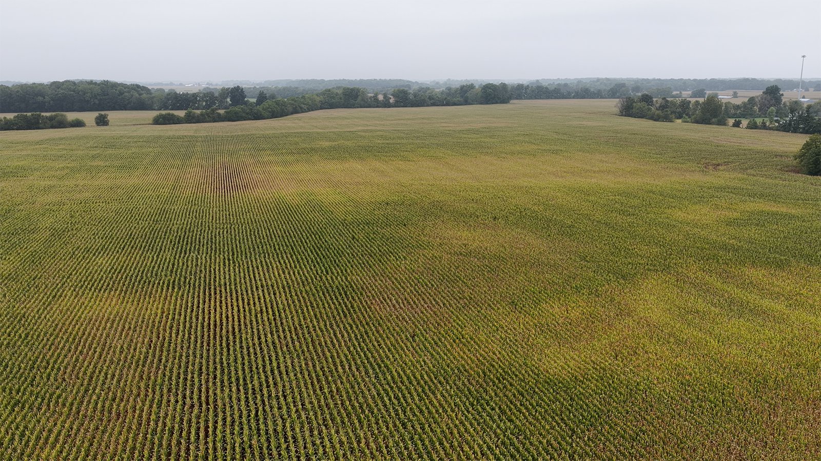 Property photo 6 - LAND AUCTION - 269.6+/-ACRES OFFERED IN 5 TRACTS IN MADISON COUNTY, INDIANA