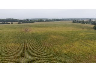 Property photo 6 - LAND AUCTION - 269.6+/-ACRES OFFERED IN 5 TRACTS IN MADISON COUNTY, INDIANA