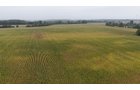 Property photo 6 - LAND AUCTION - 269.6+/-ACRES OFFERED IN 5 TRACTS IN MADISON COUNTY, INDIANA