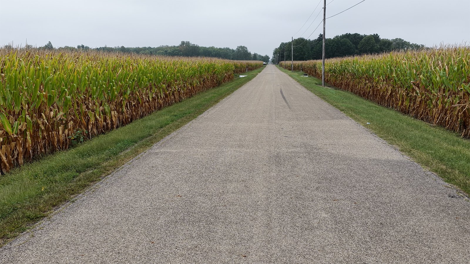 Property photo 60 - LAND AUCTION - 269.6+/-ACRES OFFERED IN 5 TRACTS IN MADISON COUNTY, INDIANA
