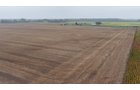 Property photo 9 - LAND AUCTION - 269.6+/-ACRES OFFERED IN 5 TRACTS IN MADISON COUNTY, INDIANA