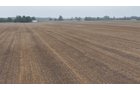 Property photo 10 - LAND AUCTION - 269.6+/-ACRES OFFERED IN 5 TRACTS IN MADISON COUNTY, INDIANA