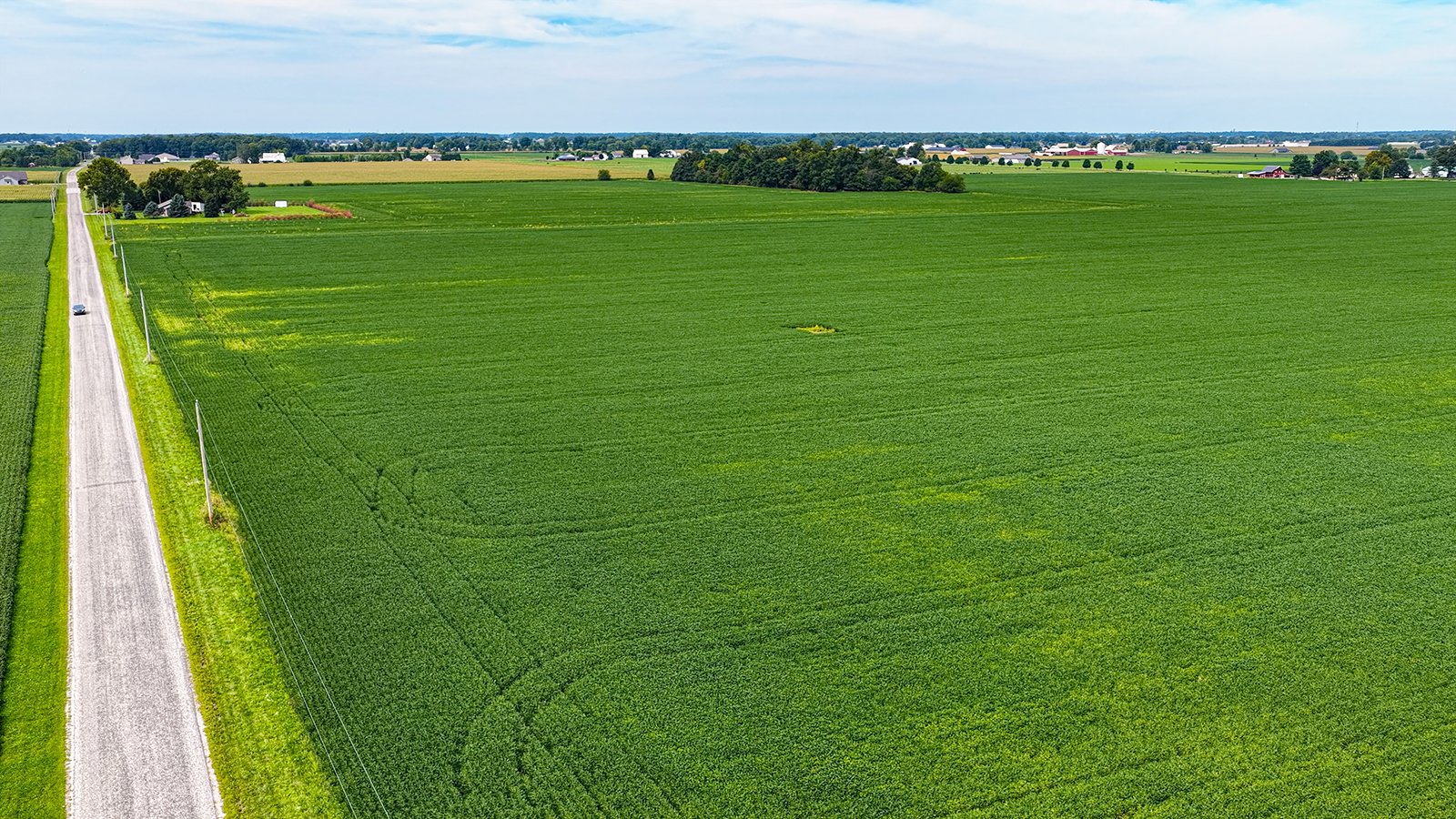 Property photo 4 - LAND AUCTION - 66+/-ACRES OFFERED IN 3 TRACTS IN ALLEN COUNTY, INDIANA