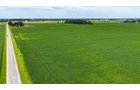 Property photo 4 - LAND AUCTION - 66+/-ACRES OFFERED IN 3 TRACTS IN ALLEN COUNTY, INDIANA