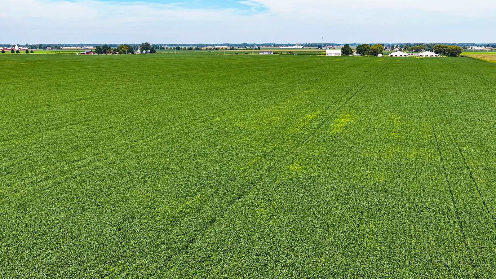 Property photo 5 - LAND AUCTION - 66+/-ACRES OFFERED IN 3 TRACTS IN ALLEN COUNTY, INDIANA