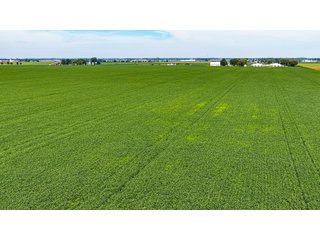 Property photo 5 - LAND AUCTION - 66+/-ACRES OFFERED IN 3 TRACTS IN ALLEN COUNTY, INDIANA