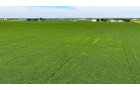 Property photo 5 - LAND AUCTION - 66+/-ACRES OFFERED IN 3 TRACTS IN ALLEN COUNTY, INDIANA