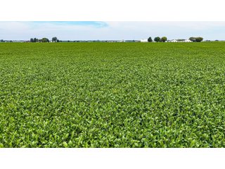 Property photo 6 - LAND AUCTION - 66+/-ACRES OFFERED IN 3 TRACTS IN ALLEN COUNTY, INDIANA