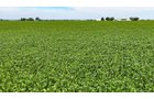 Property photo 6 - LAND AUCTION - 66+/-ACRES OFFERED IN 3 TRACTS IN ALLEN COUNTY, INDIANA