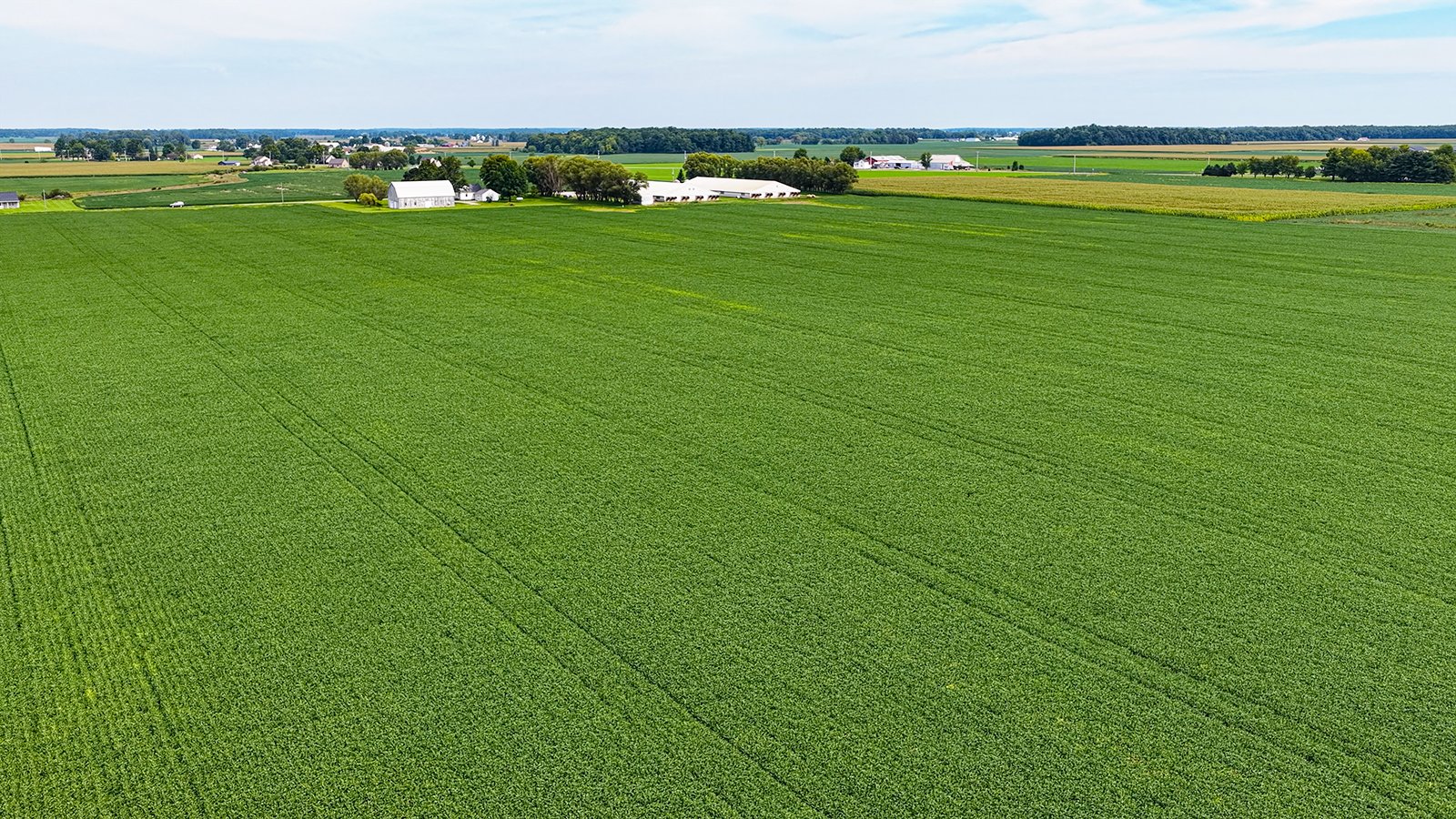 Property photo 7 - LAND AUCTION - 66+/-ACRES OFFERED IN 3 TRACTS IN ALLEN COUNTY, INDIANA