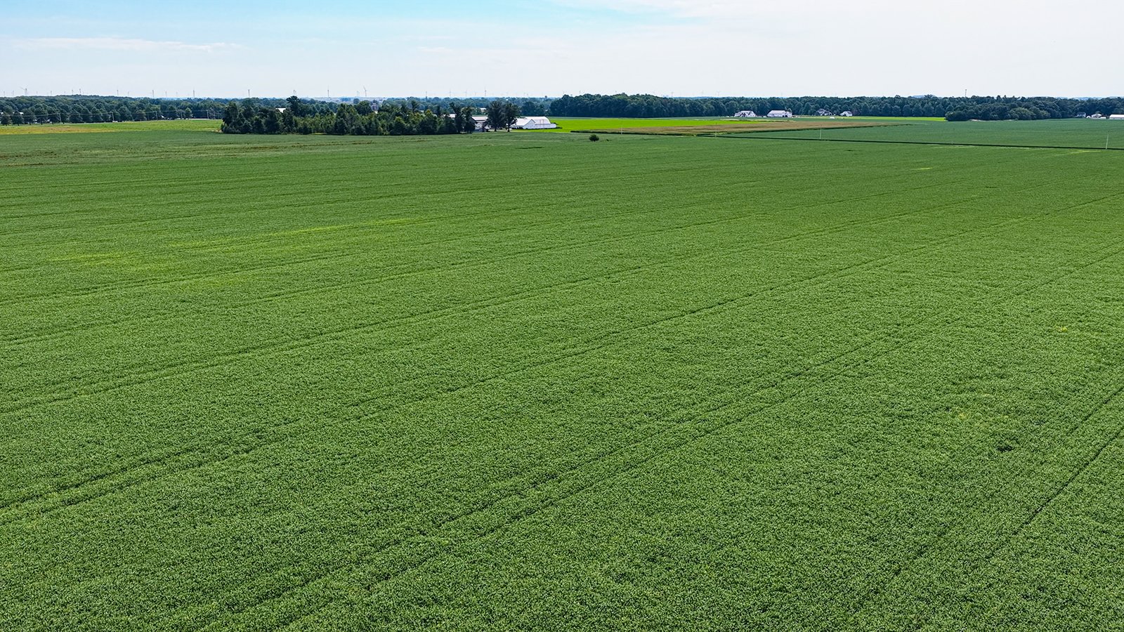 Property photo 8 - LAND AUCTION - 66+/-ACRES OFFERED IN 3 TRACTS IN ALLEN COUNTY, INDIANA
