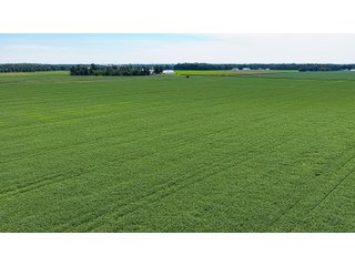Property photo 8 - LAND AUCTION - 66+/-ACRES OFFERED IN 3 TRACTS IN ALLEN COUNTY, INDIANA