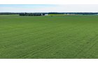 Property photo 8 - LAND AUCTION - 66+/-ACRES OFFERED IN 3 TRACTS IN ALLEN COUNTY, INDIANA