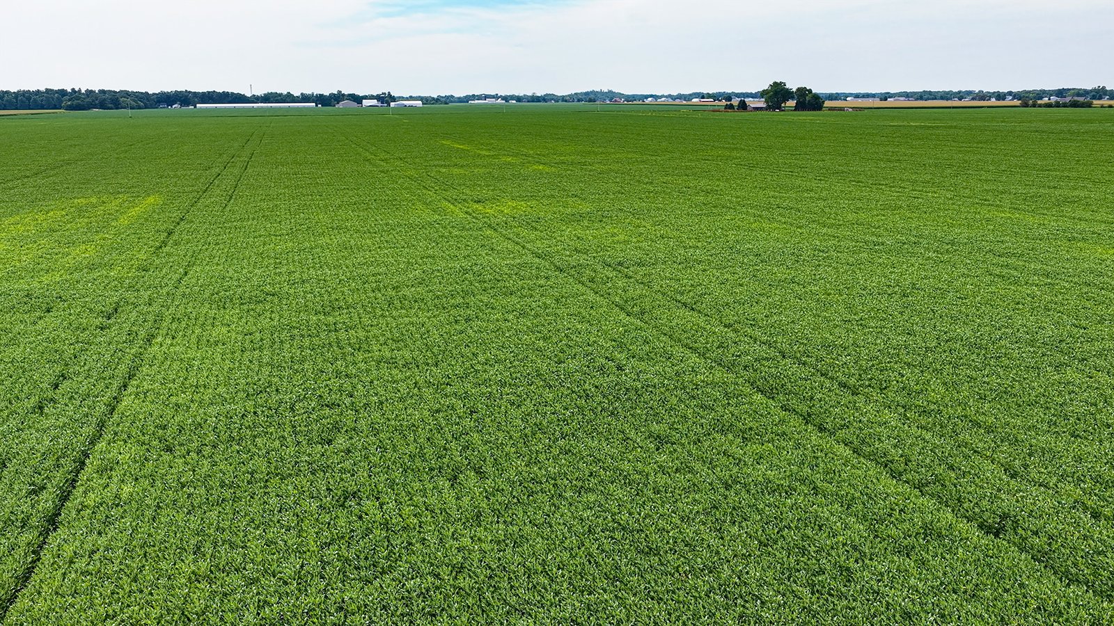 Property photo 2 - LAND AUCTION - 66+/-ACRES OFFERED IN 3 TRACTS IN ALLEN COUNTY, INDIANA