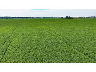 Property photo 2 - LAND AUCTION - 66+/-ACRES OFFERED IN 3 TRACTS IN ALLEN COUNTY, INDIANA