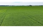 Property photo 2 - LAND AUCTION - 66+/-ACRES OFFERED IN 3 TRACTS IN ALLEN COUNTY, INDIANA