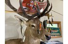 Property photo 62 - PERSONAL PROPERTY AUCTION IN LAGRANGE COUNTY, INDIANA