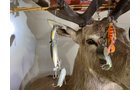 Property photo 20 - PERSONAL PROPERTY AUCTION IN LAGRANGE COUNTY, INDIANA