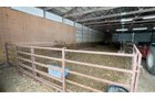 Property photo 19 - FARMLAND FOR SALE - 52+/-ACRES IN FULTON COUNTY, INDIANA