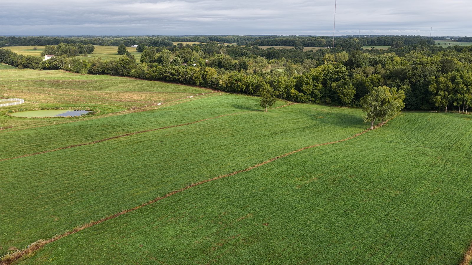 Property photo 4 - FARMLAND FOR SALE - 52+/-ACRES IN FULTON COUNTY, INDIANA
