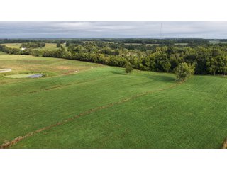 Property photo 4 - FARMLAND FOR SALE - 52+/-ACRES IN FULTON COUNTY, INDIANA