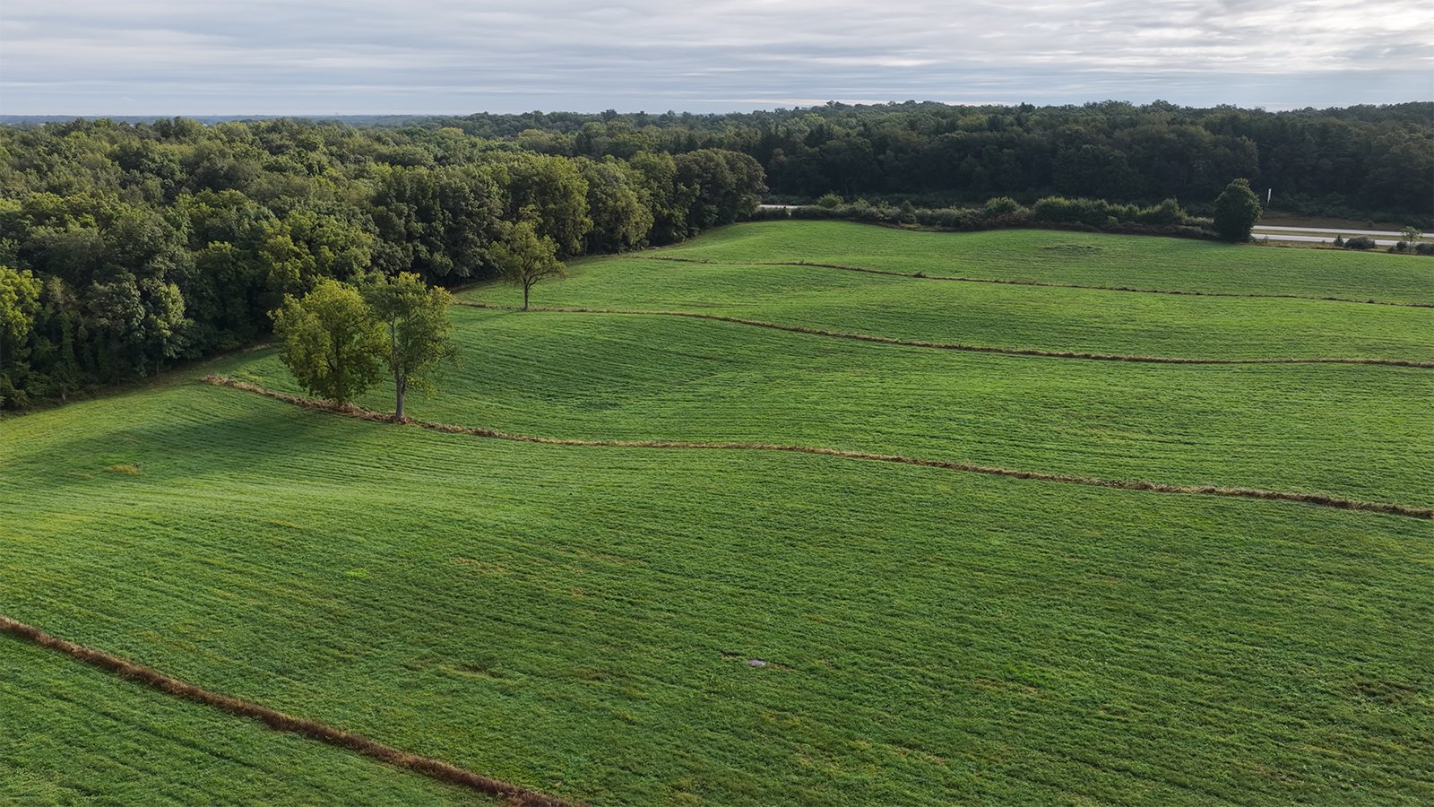 Property photo 6 - FARMLAND FOR SALE - 52+/-ACRES IN FULTON COUNTY, INDIANA