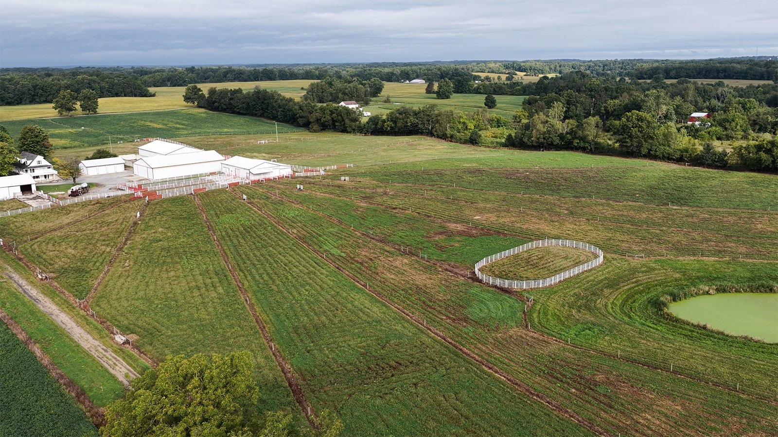 Property photo 8 - FARMLAND FOR SALE - 52+/-ACRES IN FULTON COUNTY, INDIANA
