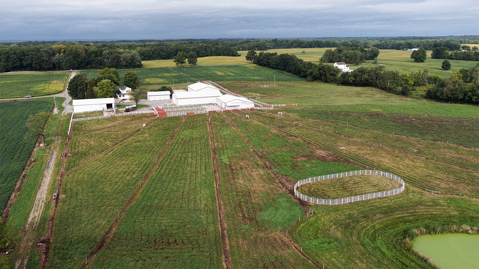 Property photo 9 - FARMLAND FOR SALE - 52+/-ACRES IN FULTON COUNTY, INDIANA