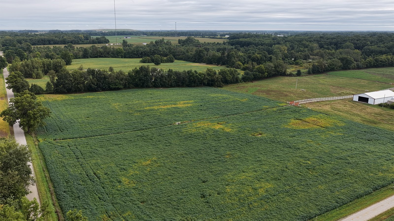 Property photo 10 - FARMLAND FOR SALE - 52+/-ACRES IN FULTON COUNTY, INDIANA