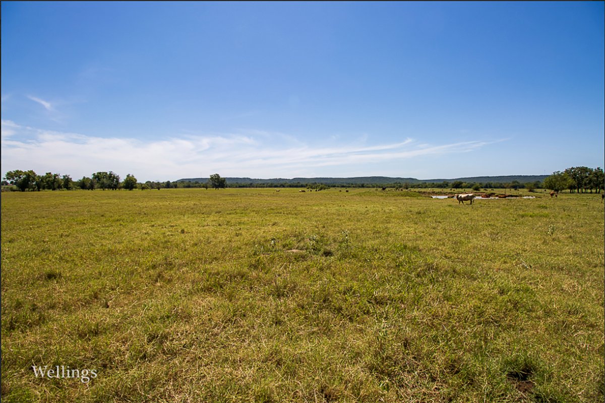 Listing brochure cover - THE DIAMOND T RANCH - 496+/- ACRES - MUSKOGEE COUNTY, OKLAHOMA