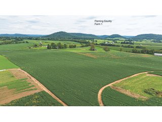 Property photo 6 - 3 FARMS FOR SALE - 1,083 ACRES IN FLEMING AND BATH COUNTY, KENTUCKY