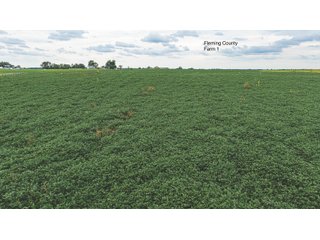 Property photo 11 - 3 FARMS FOR SALE - 1,083 ACRES IN FLEMING AND BATH COUNTY, KENTUCKY