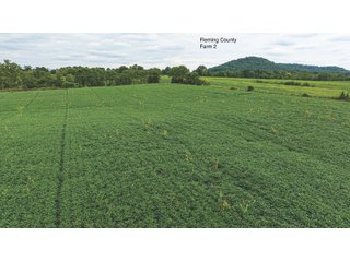 Property photo 30 - 3 FARMS FOR SALE - 1,083 ACRES IN FLEMING AND BATH COUNTY, KENTUCKY