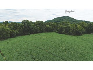 Property photo 32 - 3 FARMS FOR SALE - 1,083 ACRES IN FLEMING AND BATH COUNTY, KENTUCKY