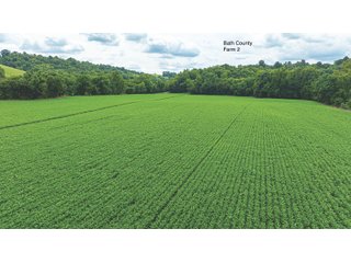 Property photo 21 - 3 FARMS FOR SALE - 1,083 ACRES IN FLEMING AND BATH COUNTY, KENTUCKY