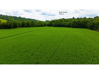 Property photo 22 - 3 FARMS FOR SALE - 1,083 ACRES IN FLEMING AND BATH COUNTY, KENTUCKY