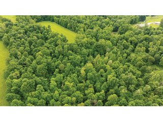 Property photo 2 - LAND FOR SALE - 196+/-ACRES IN PUTNAM COUNTY, INDIANA