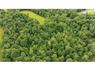 Property photo 4 - LAND FOR SALE - 196+/-ACRES IN PUTNAM COUNTY, INDIANA